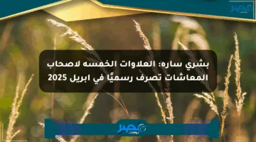 بشرى سارة: العلاوات الخمسة لأصحاب المعاشات تصرف رسميًا في أبريل 2025